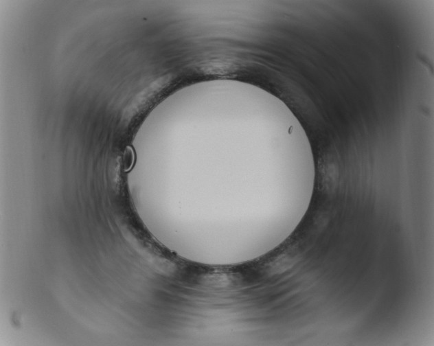 X0000103470404200809261909