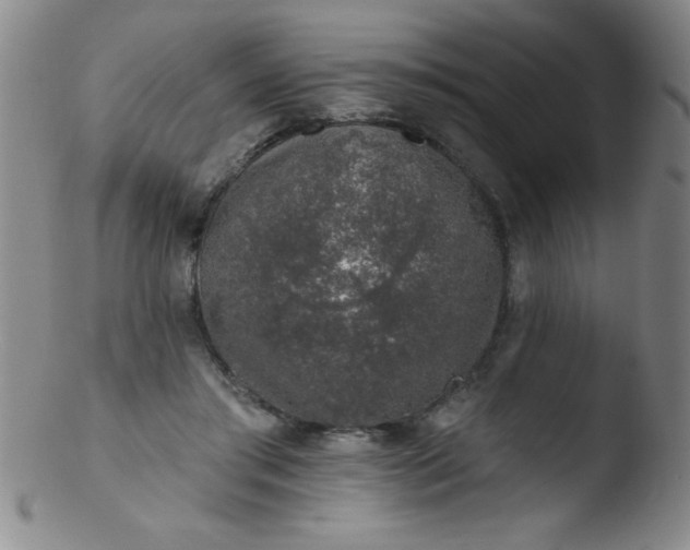 X0000103470405200809261909