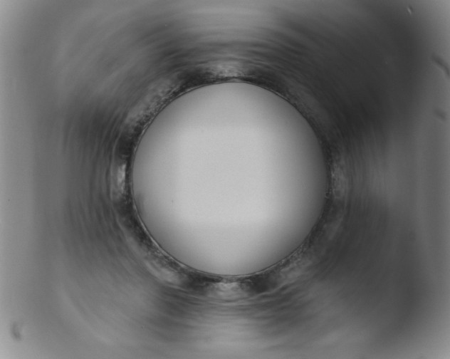 X0000103470406200809261909