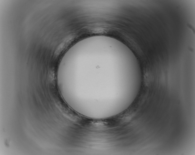 X0000103470407200809261909