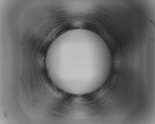 X0000103470408200809261909