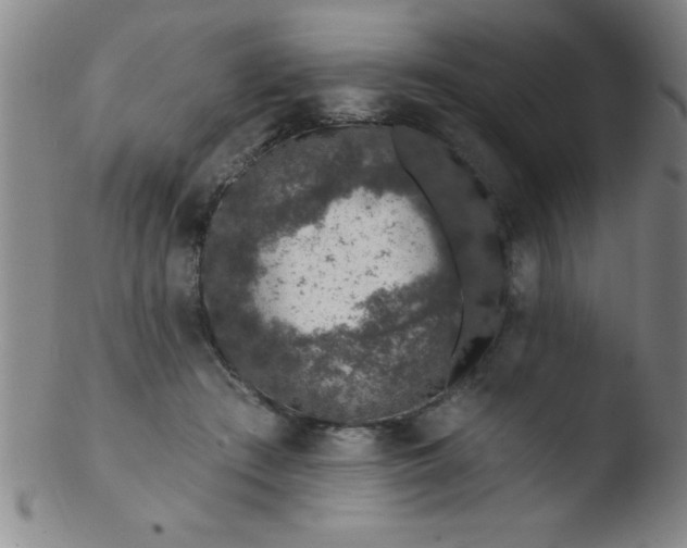 X0000103470409200809261909