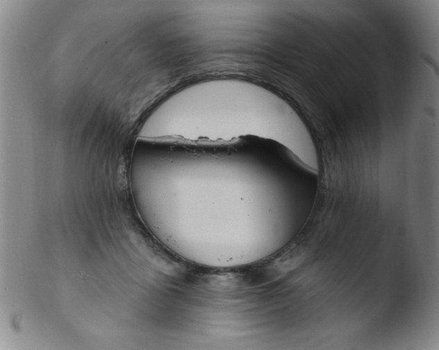 X0000103470411200809261909