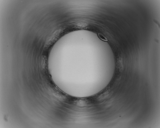 X0000103470412200809261909