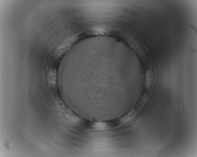 X0000103470413200809261909