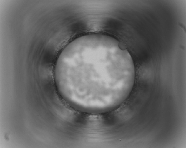 X0000103470415200809261909