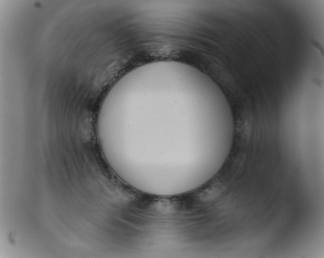 X0000103470416200809261909