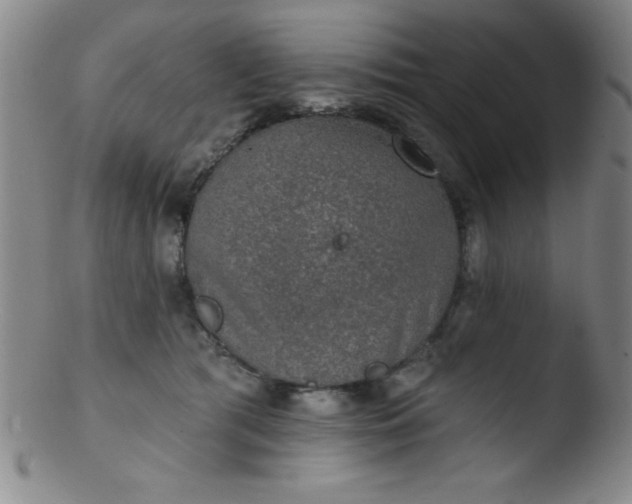 X0000103470417200809261909