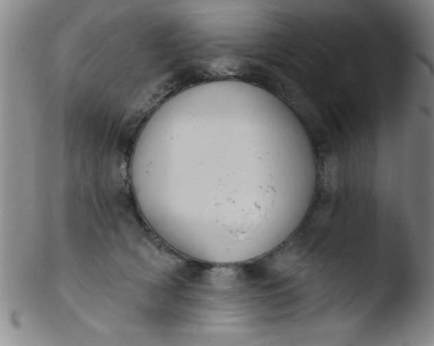 X0000103470418200809261909