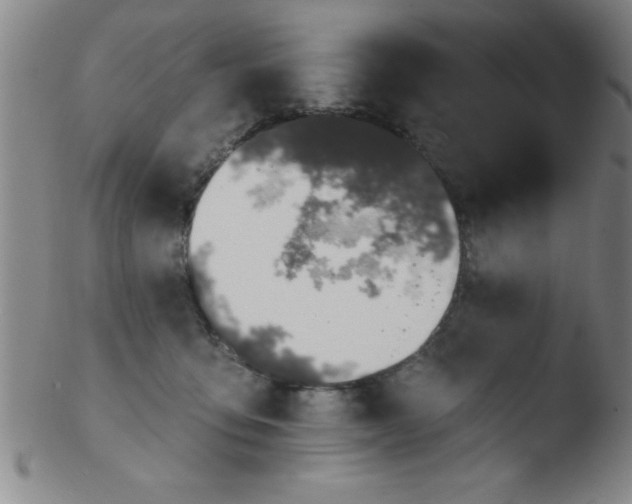 X0000103470419200809261909