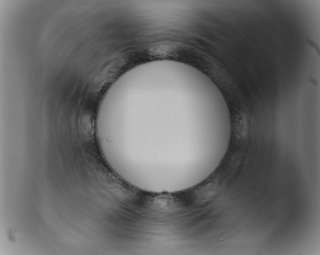 X0000103470420200809261909