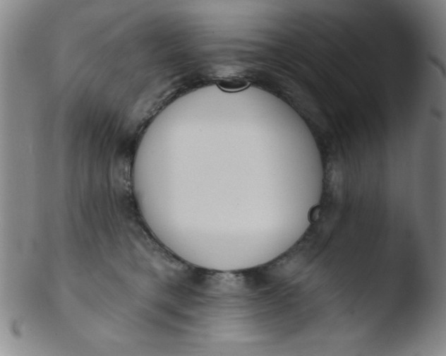 X0000103470421200809261909