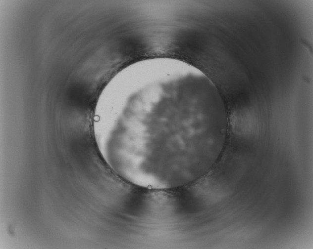 X0000103470423200809261909