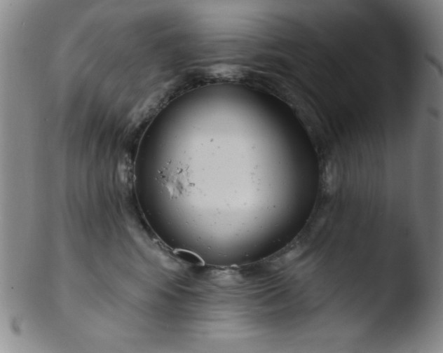 X0000103470424200809261909