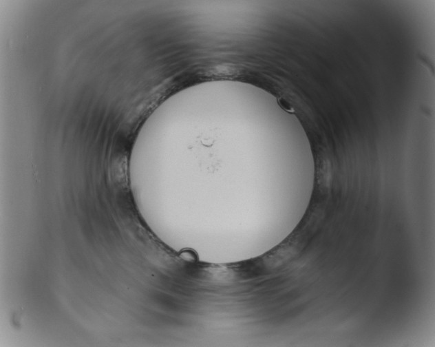 X0000103470425200809261909