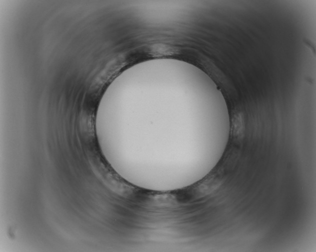 X0000103470426200809261909