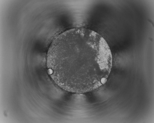 X0000103470427200809261909