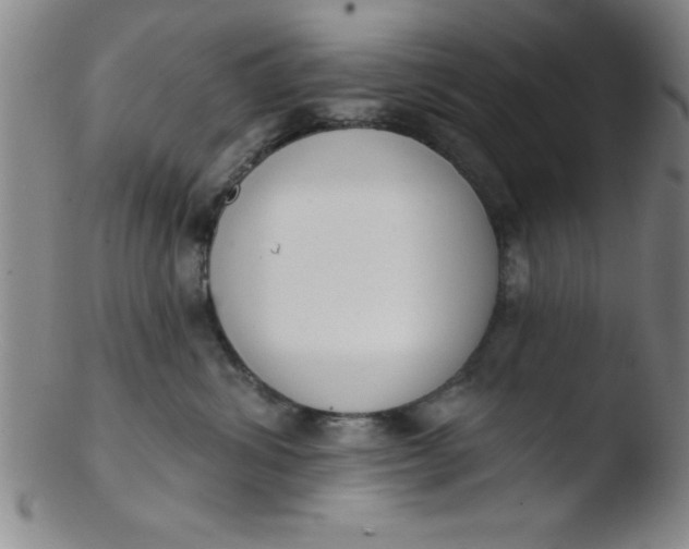 X0000103470428200809261909