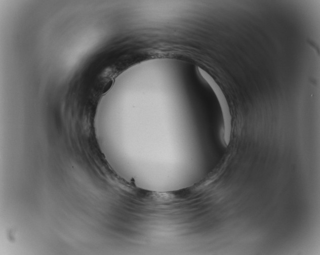 X0000103470429200809261909