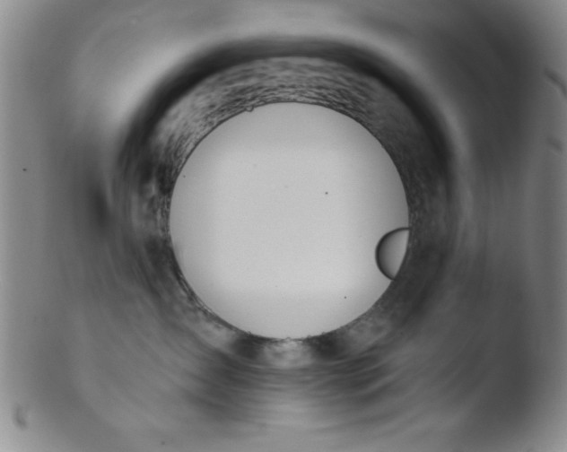 X0000103470431200809261908