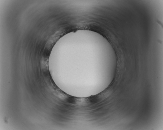 X0000103470432200809261908