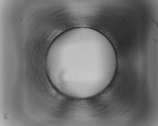 X0000103470433200809261908