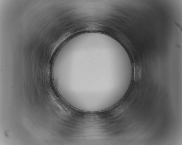 X0000103470435200809261908