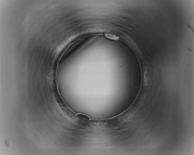 X0000103470436200809261908