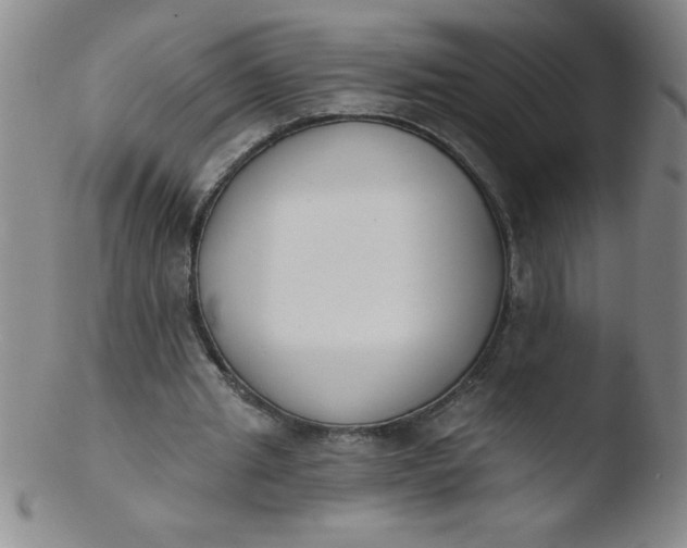 X0000103470437200809261908