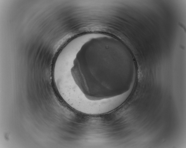 X0000103470438200809261908