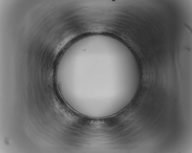 X0000103470440200809261908