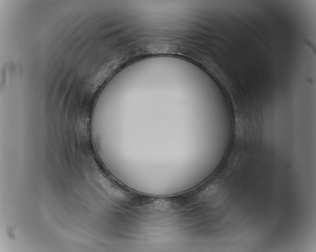 X0000103470441200809261908