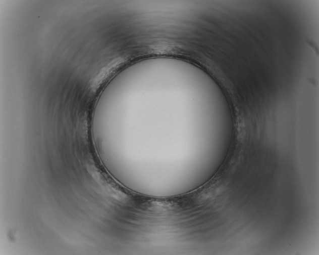 X0000103470442200809261908