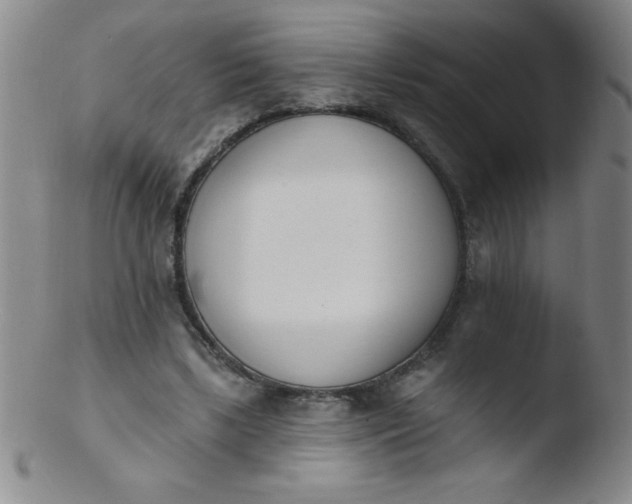 X0000103470443200809261908