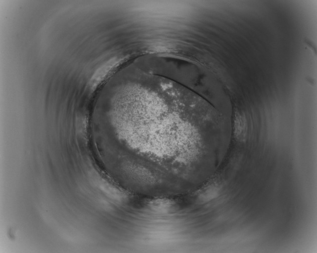 X0000103470444200809261908