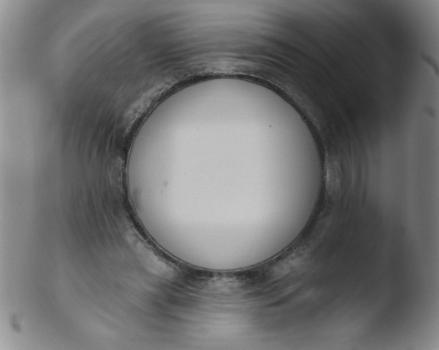 X0000103470445200809261908