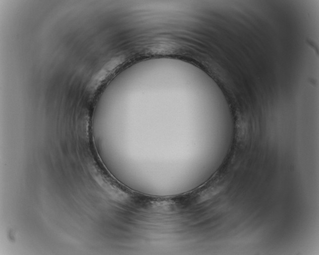 X0000103470446200809261908