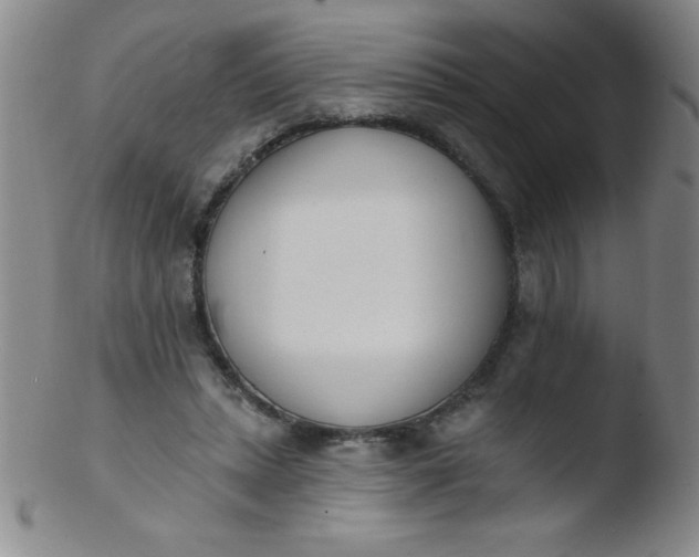 X0000103470447200809261908