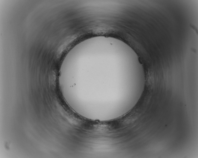 X0000103470448200809261908