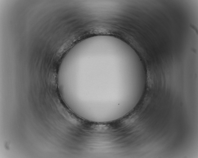 X0000103470449200809261908