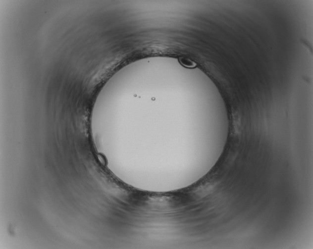 X0000103470450200809261908