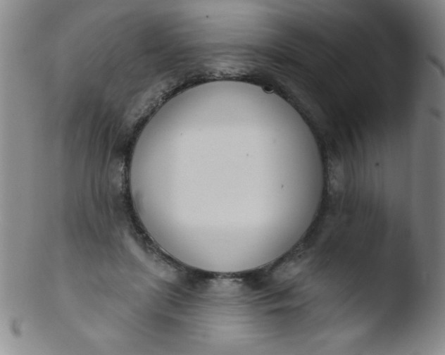 X0000103470451200809261908