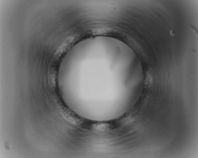 X0000103470452200809261908