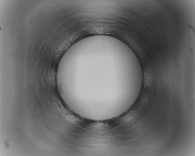 X0000103470453200809261908