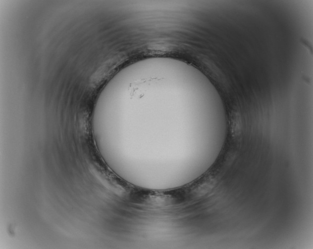 X0000103470455200809261908