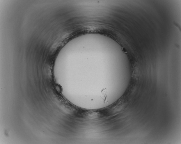 X0000103470456200809261908