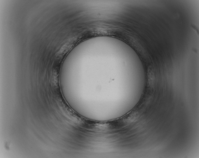 X0000103470457200809261908