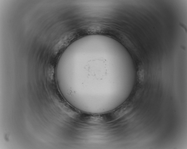 X0000103470458200809261908