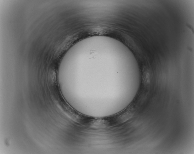 X0000103470459200809261908