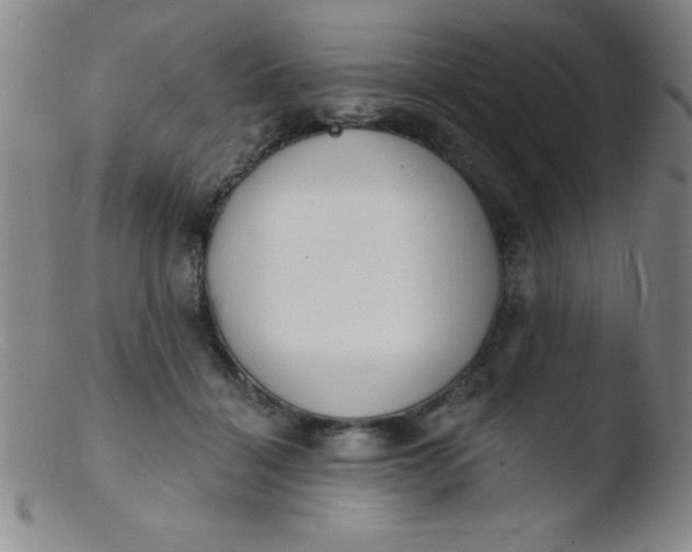 X0000103470460200809261908